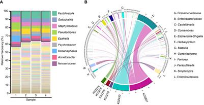 Assessment of the Safety and Efficacy of an Oral Probiotic-Based Vaccine Against Aspergillus Infection in Captive-Bred Humboldt Penguins (Spheniscus humboldti)